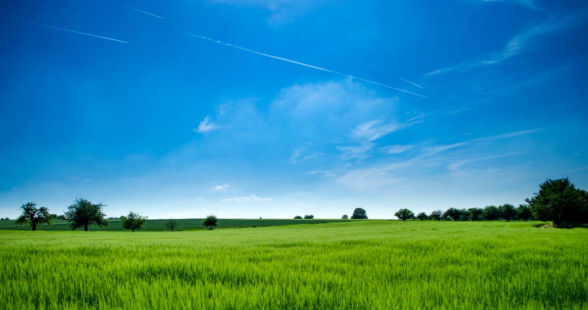 Grüne Agrarlandschaft unter weitem Himmel
